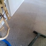 Home Carpet Repair