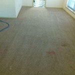 landlord carpet cleaning before
