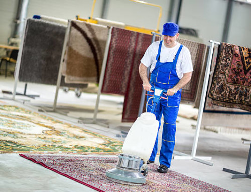 Why You Should Hire Professional Carpet Cleaners