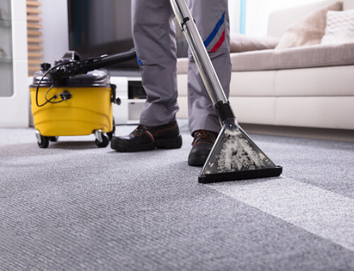 10 Carpet Cleaning Tips That Can Save Your Carpet