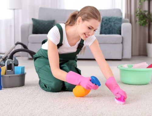 How Fort Worth’s Carpet Cleaning Service Enhances Indoor Air Quality and Health