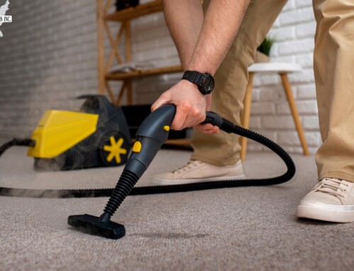 Eight Highly Effective Methods for Removing Spots and Stains from Carpets