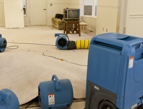 Why Professional Water Damage Restoration is Necessary