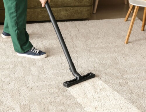 Exploring the Different Types of Carpet Cleaning Services